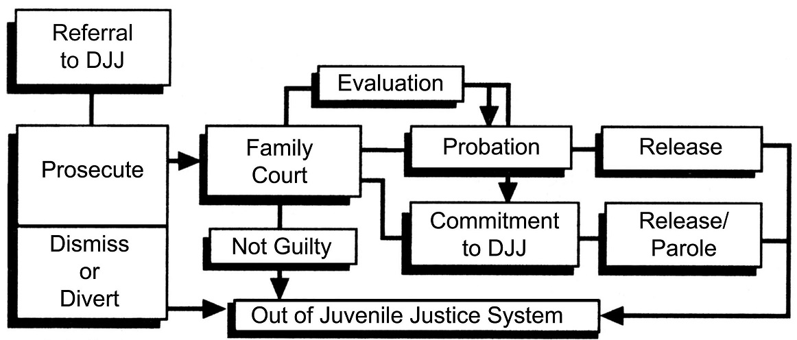 Juvenile Justice Process Flow Chart (described in body text)