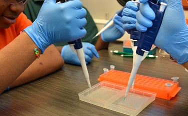 Students with pipettes