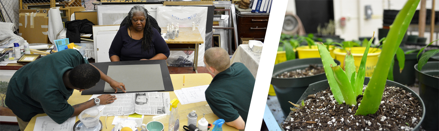 Students in Framing class and potted plant